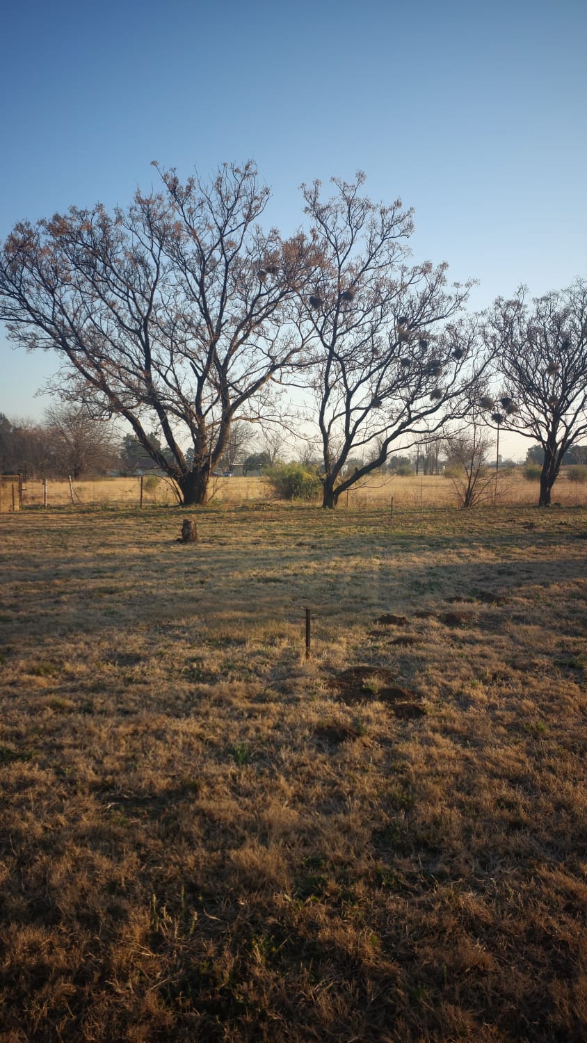 3 Bedroom Property for Sale in Buyscelia Gauteng