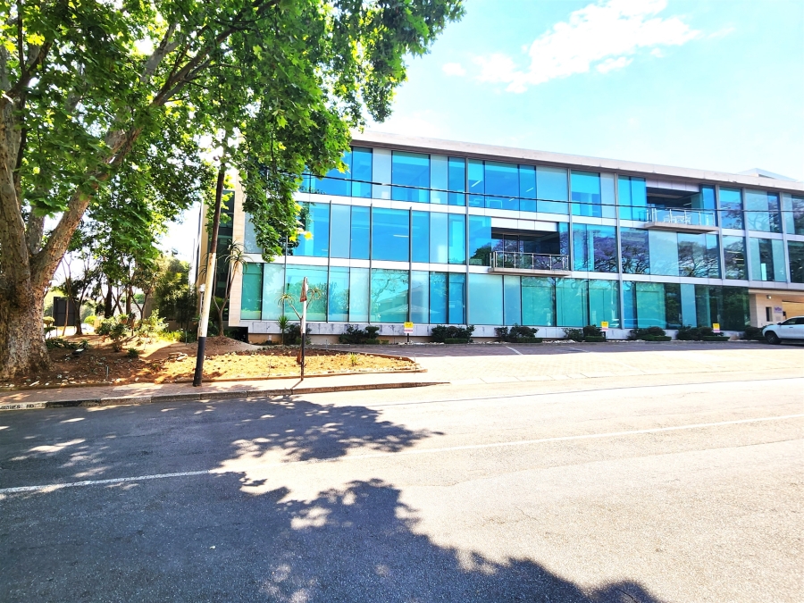 To Let commercial Property for Rent in Illovo Gauteng