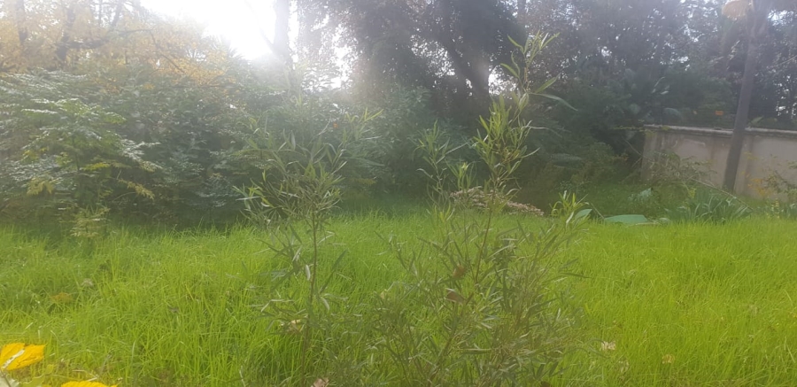 0 Bedroom Property for Sale in Sandown Gauteng