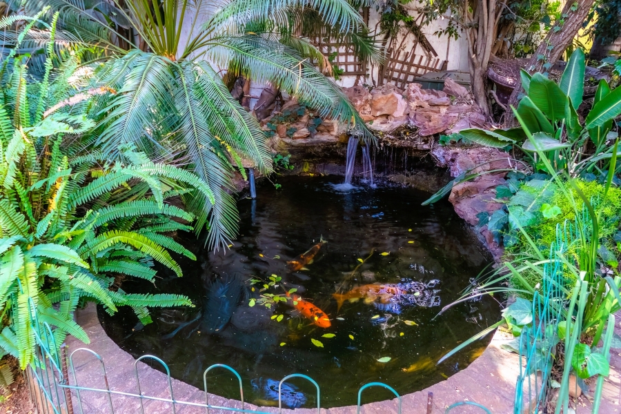 4 Bedroom Property for Sale in Morning Hill Gauteng