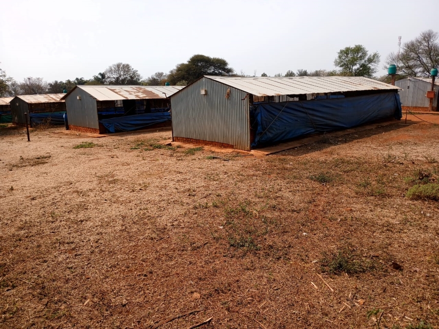 9 Bedroom Property for Sale in Patryshoek A H Gauteng