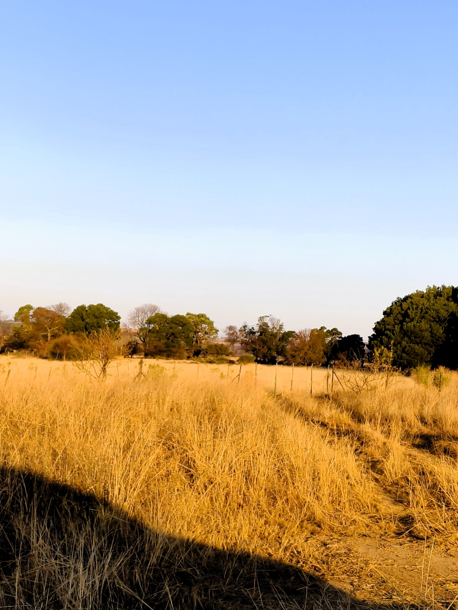 7 Bedroom Property for Sale in Bashewa A H Gauteng