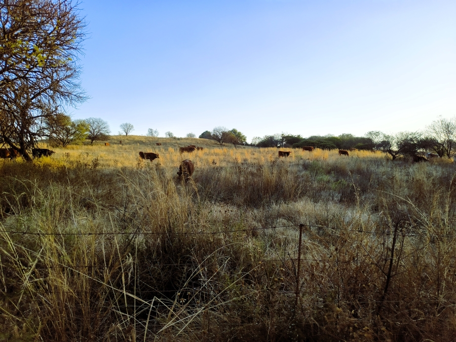 7 Bedroom Property for Sale in Bashewa A H Gauteng