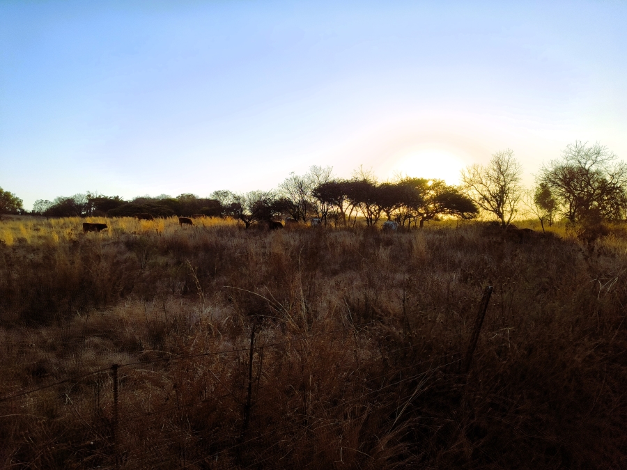 7 Bedroom Property for Sale in Bashewa A H Gauteng