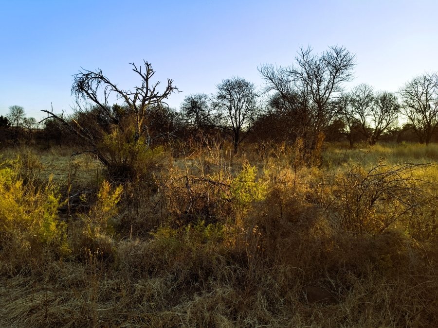 7 Bedroom Property for Sale in Bashewa A H Gauteng
