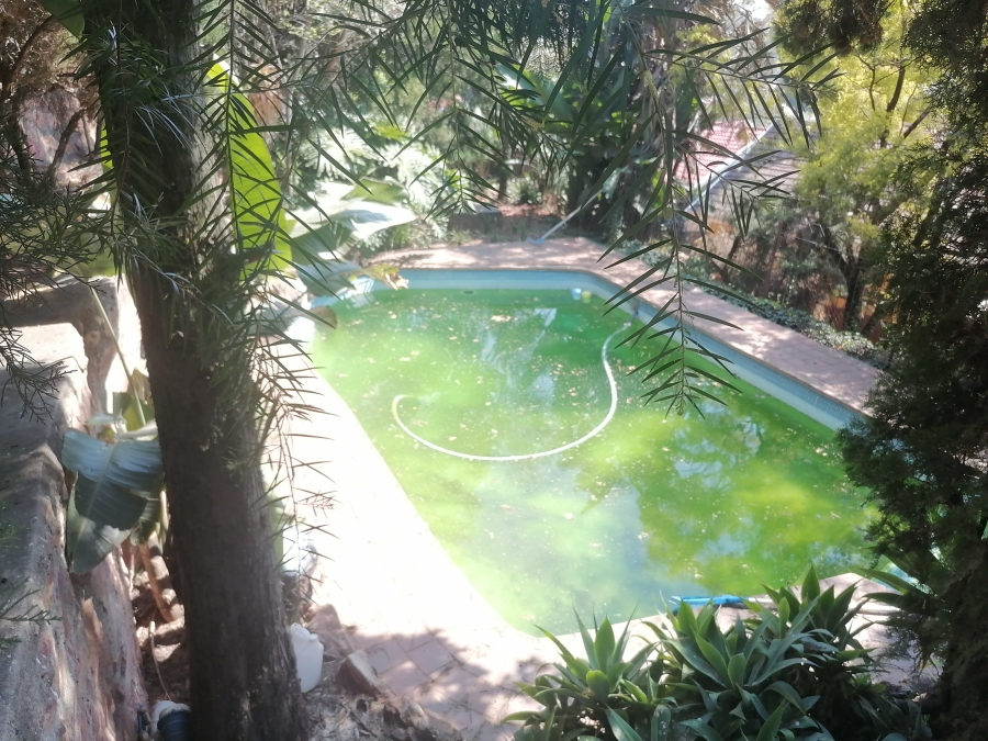 To Let 5 Bedroom Property for Rent in Wilro Park Gauteng