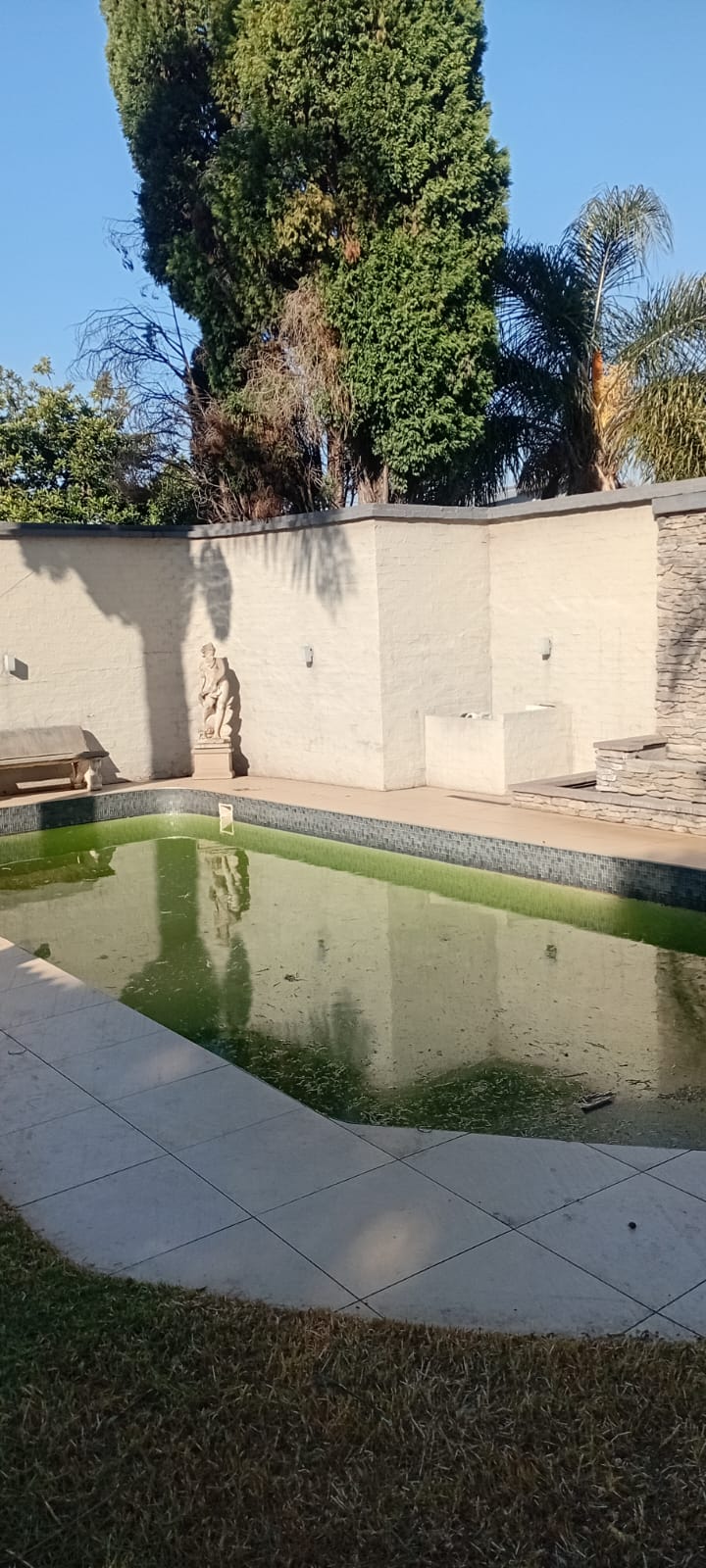 To Let 3 Bedroom Property for Rent in Sydenham Gauteng
