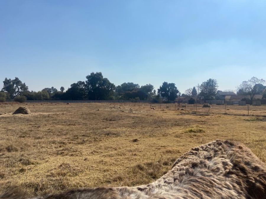 0 Bedroom Property for Sale in Rynfield A H Gauteng