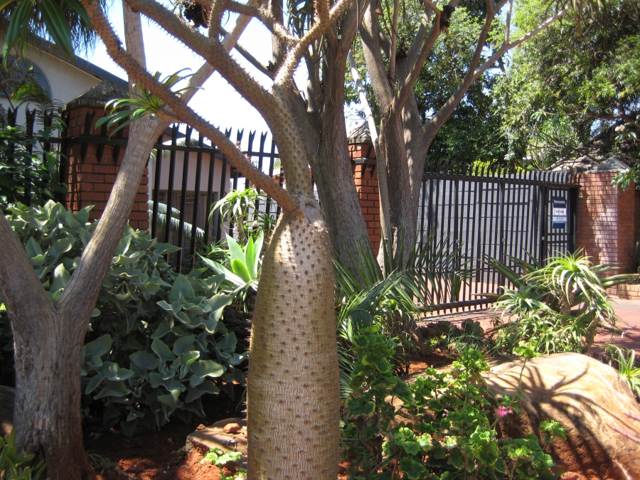 4 Bedroom Property for Sale in Sinoville Gauteng