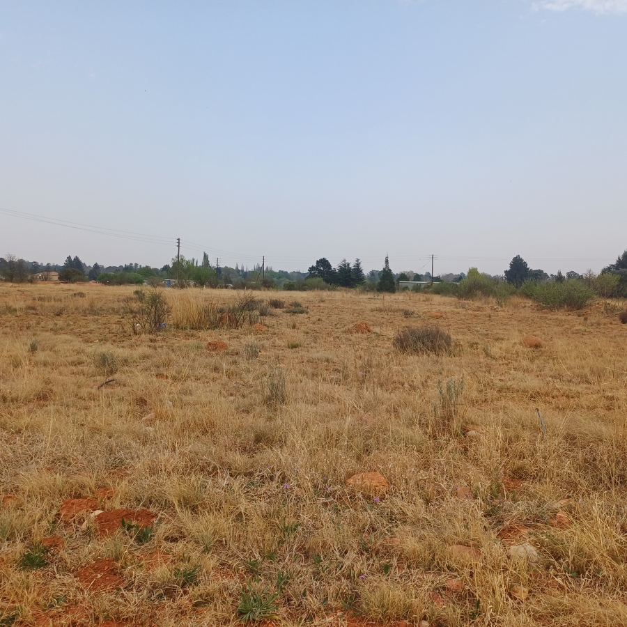 0 Bedroom Property for Sale in Henley on Klip Gauteng