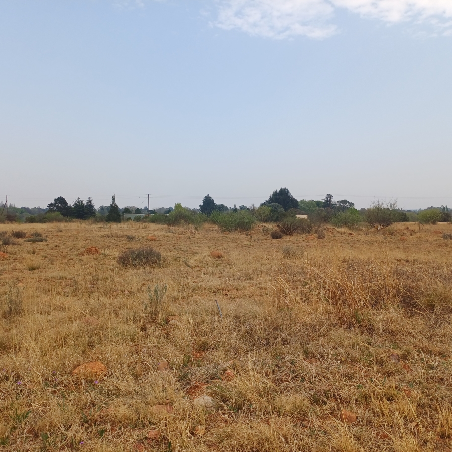 0 Bedroom Property for Sale in Henley on Klip Gauteng
