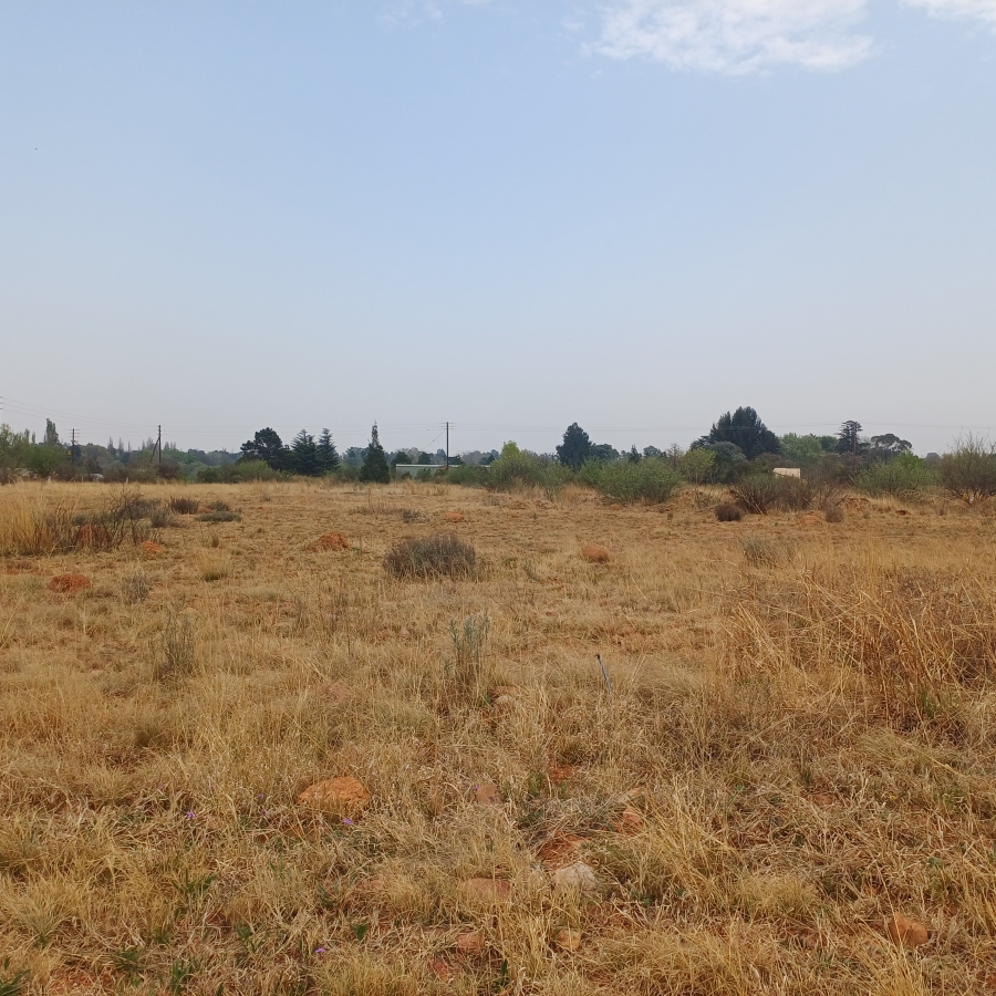 0 Bedroom Property for Sale in Henley on Klip Gauteng