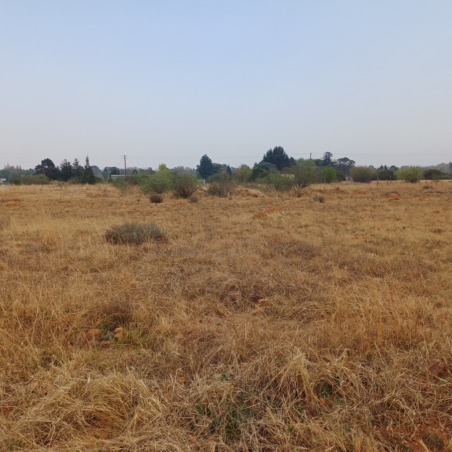 0 Bedroom Property for Sale in Henley on Klip Gauteng