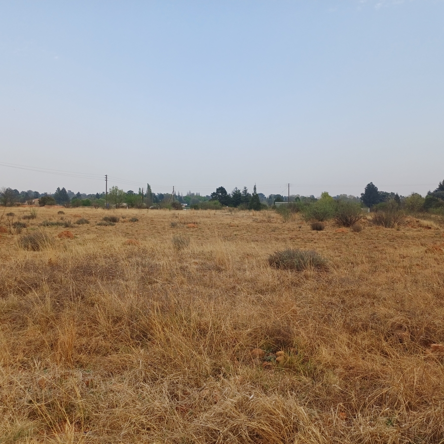 0 Bedroom Property for Sale in Henley on Klip Gauteng