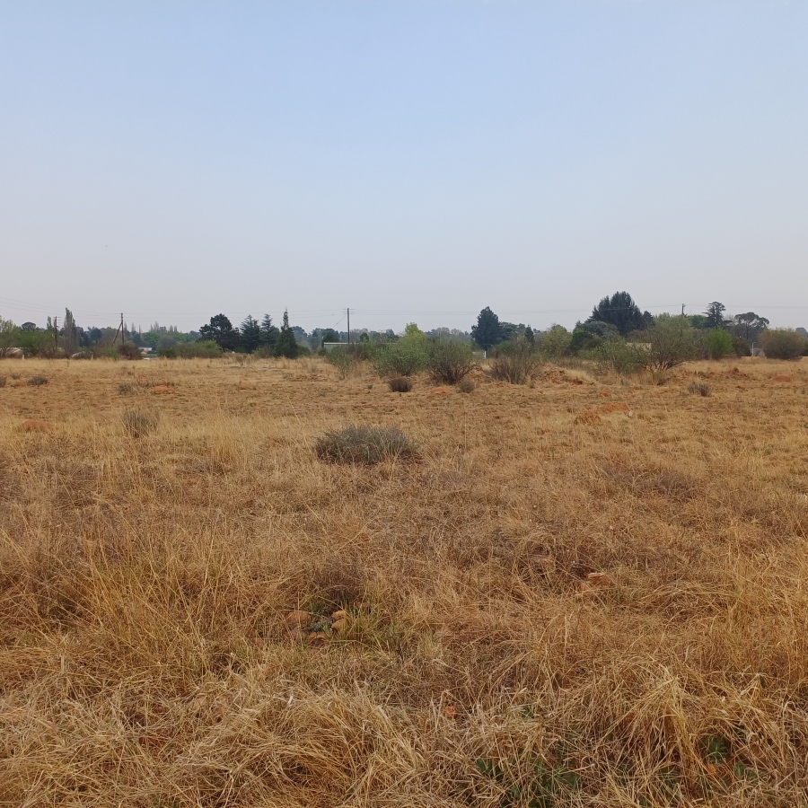 0 Bedroom Property for Sale in Henley on Klip Gauteng