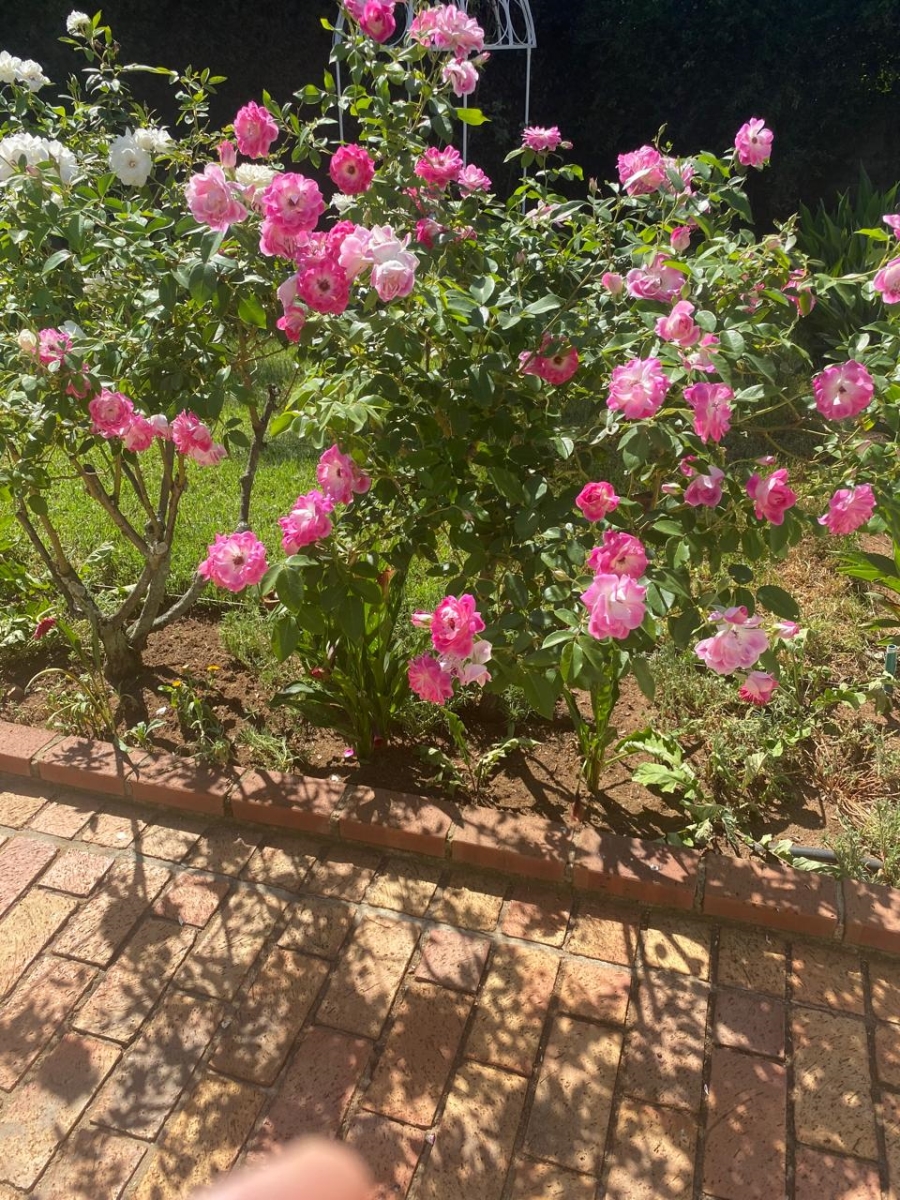 4 Bedroom Property for Sale in Bryanston Gauteng