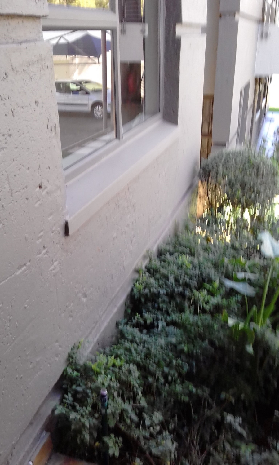 To Let 2 Bedroom Property for Rent in Edenburg Gauteng