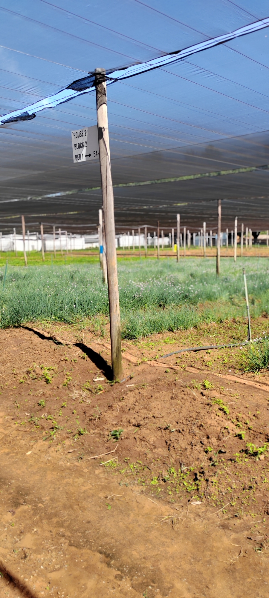 Commercial Property for Sale in Kameeldrift West Gauteng
