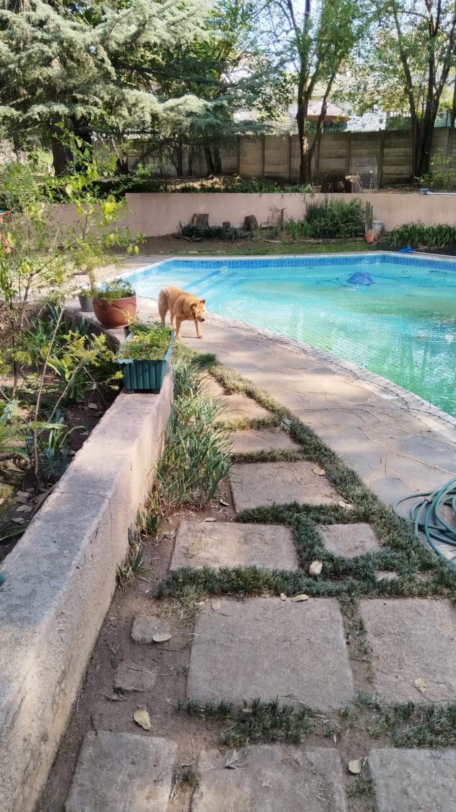 To Let 1 Bedroom Property for Rent in Rembrandt Park Gauteng