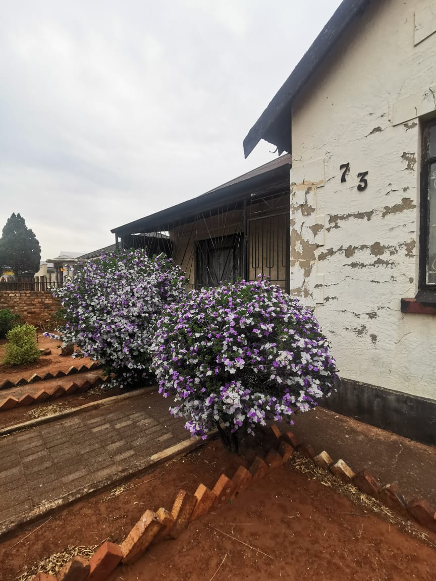 3 Bedroom Property for Sale in Brakpan Central Gauteng