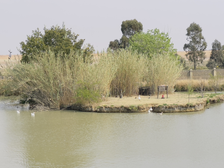 0 Bedroom Property for Sale in Helderwyk Gauteng