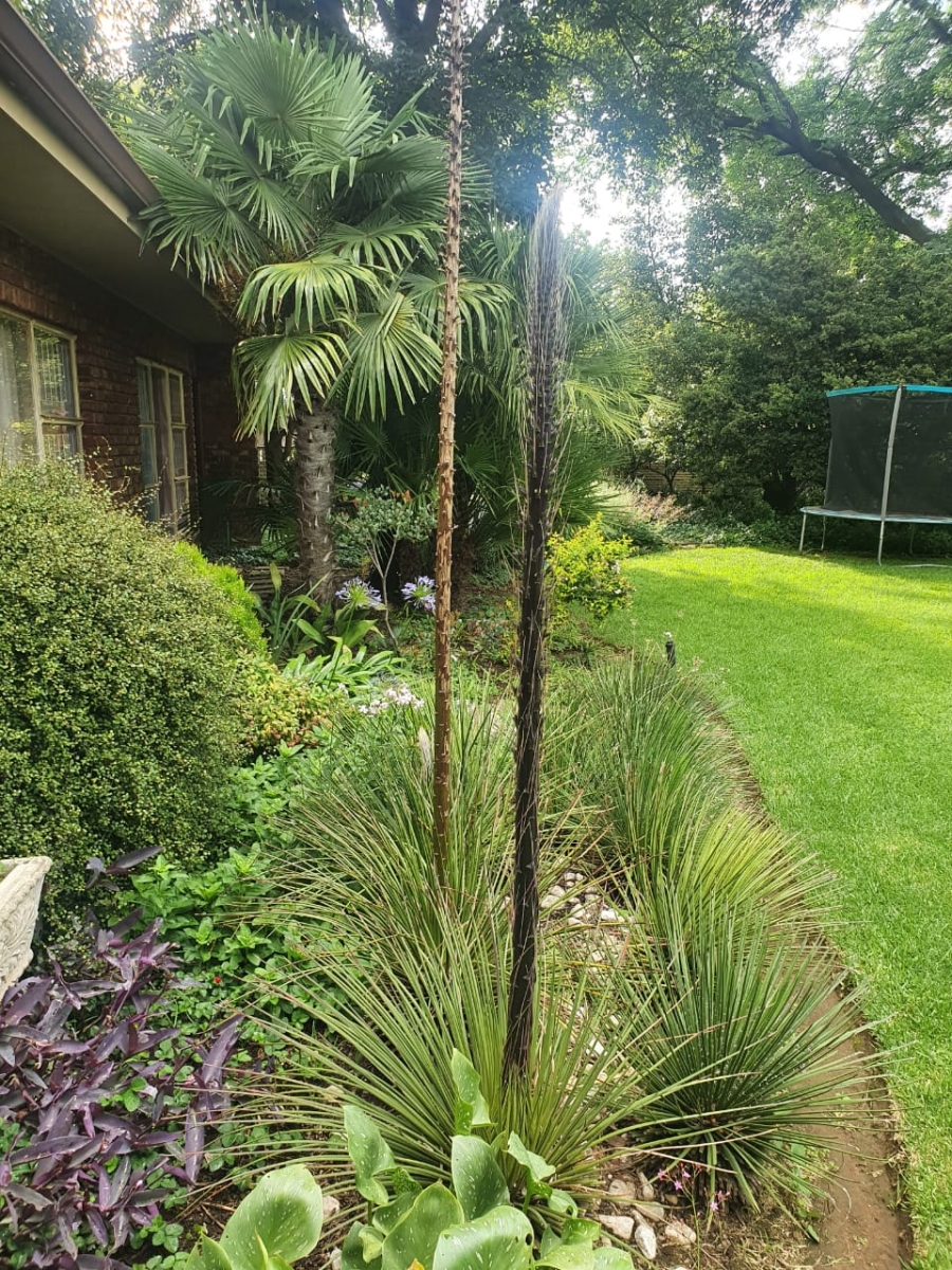 3 Bedroom Property for Sale in Three Rivers East Gauteng