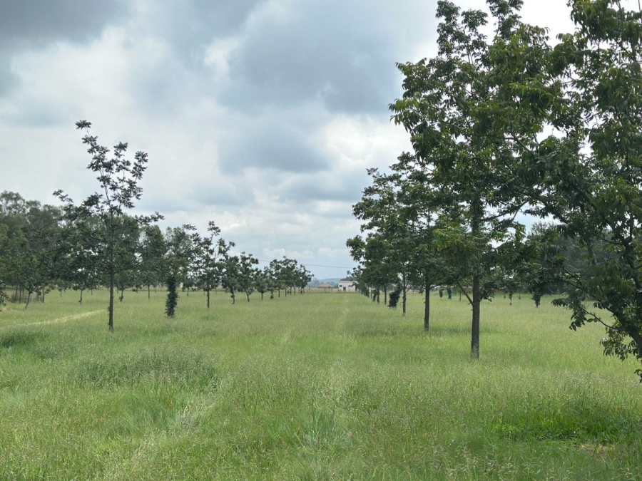 6 Bedroom Property for Sale in Unitas Park Gauteng