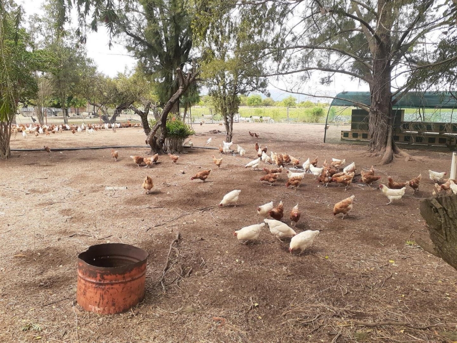 0 Bedroom Property for Sale in Kameeldrift West Gauteng