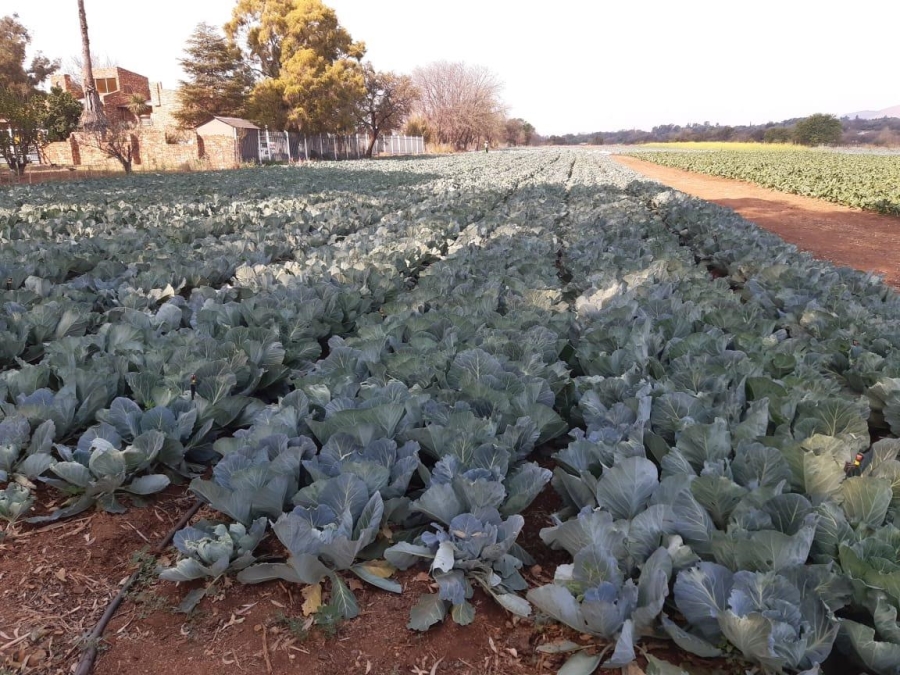 0 Bedroom Property for Sale in Kameeldrift West Gauteng