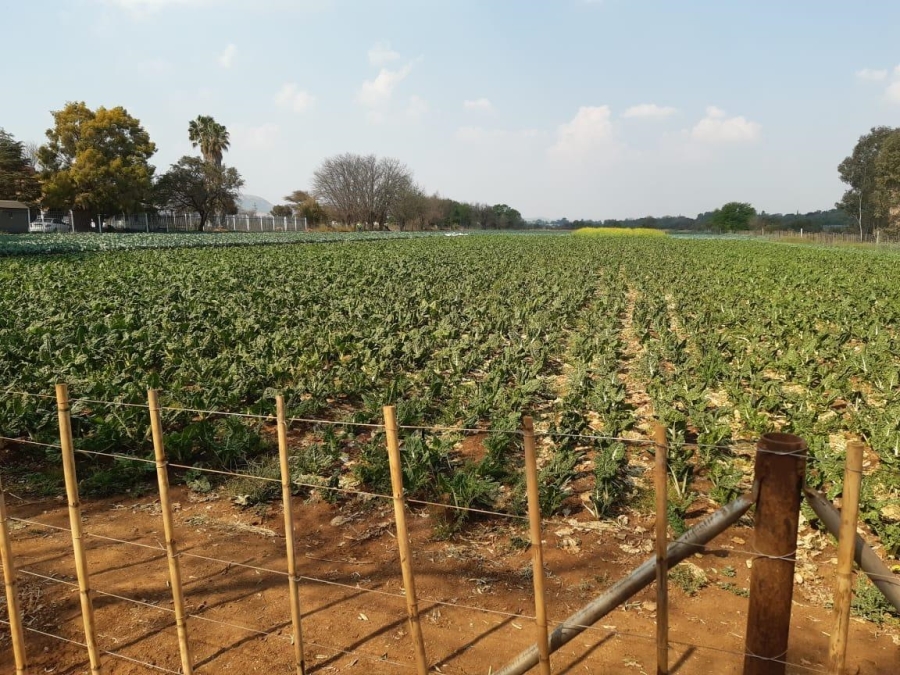 0 Bedroom Property for Sale in Kameeldrift West Gauteng