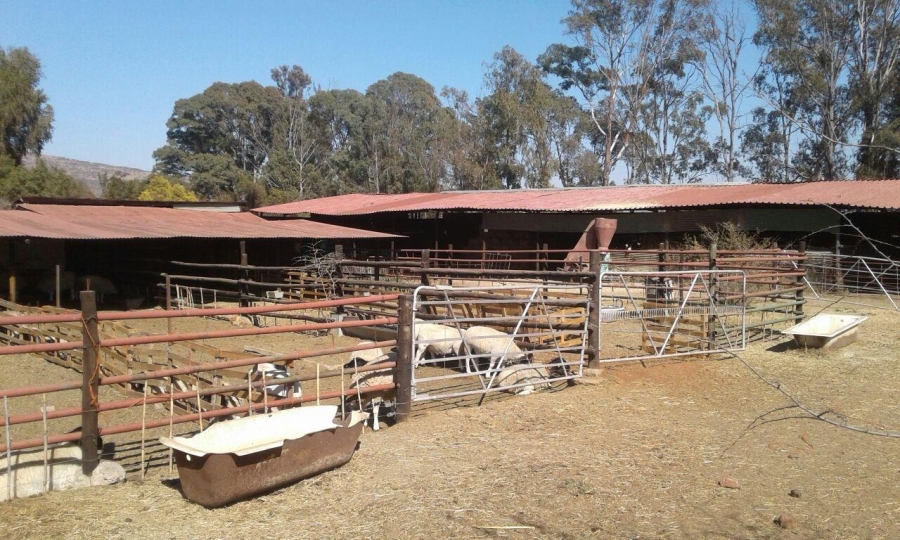 0 Bedroom Property for Sale in Kameeldrift West Gauteng