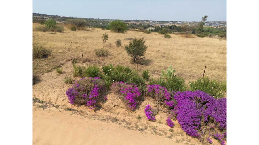 0 Bedroom Property for Sale in Sun Valley Gauteng