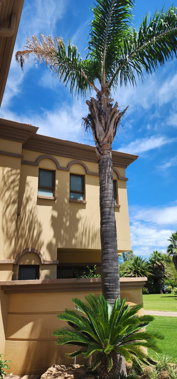6 Bedroom Property for Sale in Northdene Gauteng