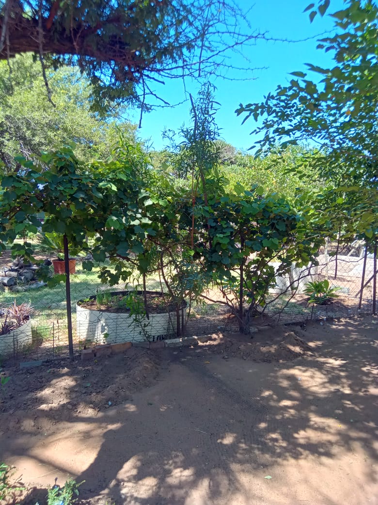 4 Bedroom Property for Sale in Lusthof Gauteng