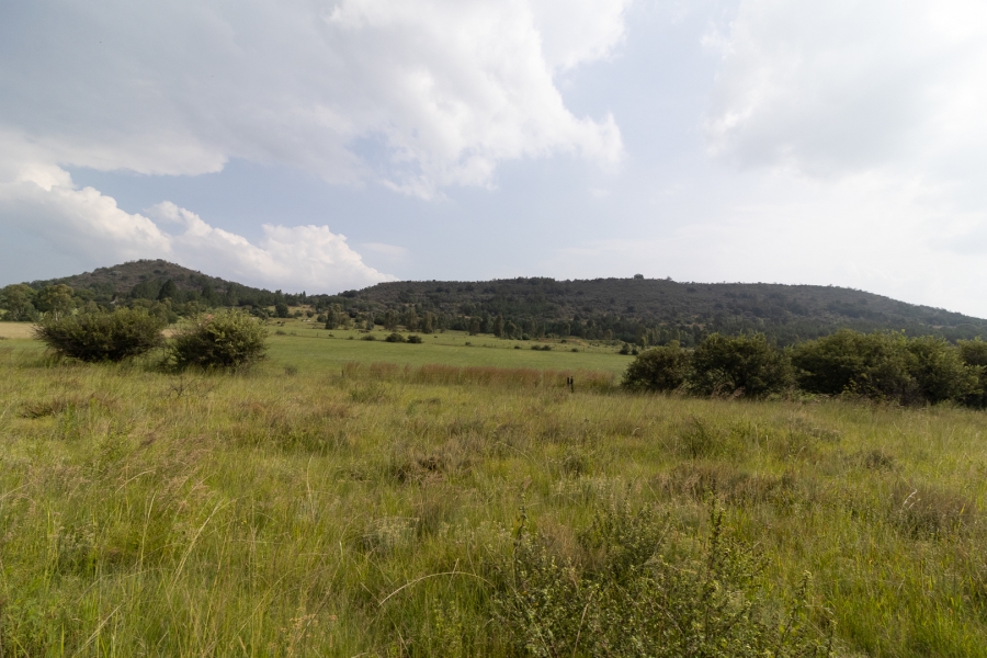 11 Bedroom Property for Sale in Alewynspoort Gauteng