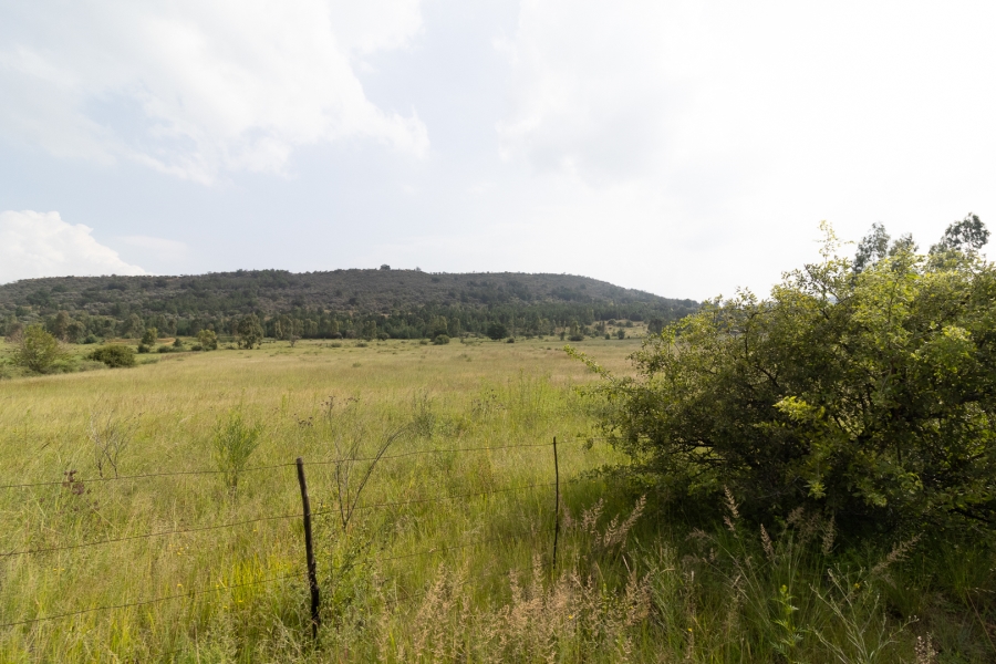 11 Bedroom Property for Sale in Alewynspoort Gauteng