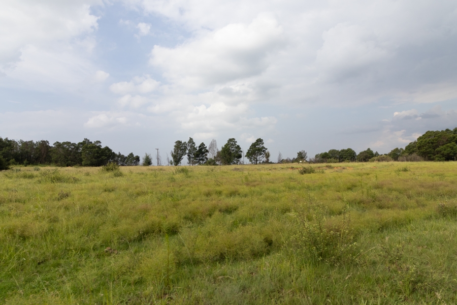 11 Bedroom Property for Sale in Alewynspoort Gauteng