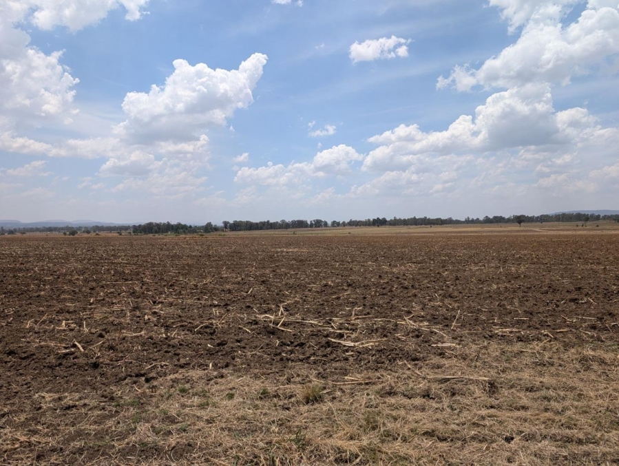 0 Bedroom Property for Sale in Chrissiefontein Gauteng