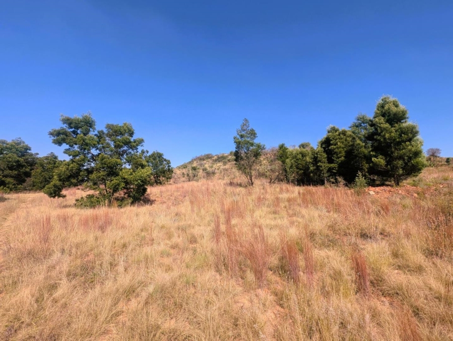 0 Bedroom Property for Sale in Blue Saddle Ranches Gauteng
