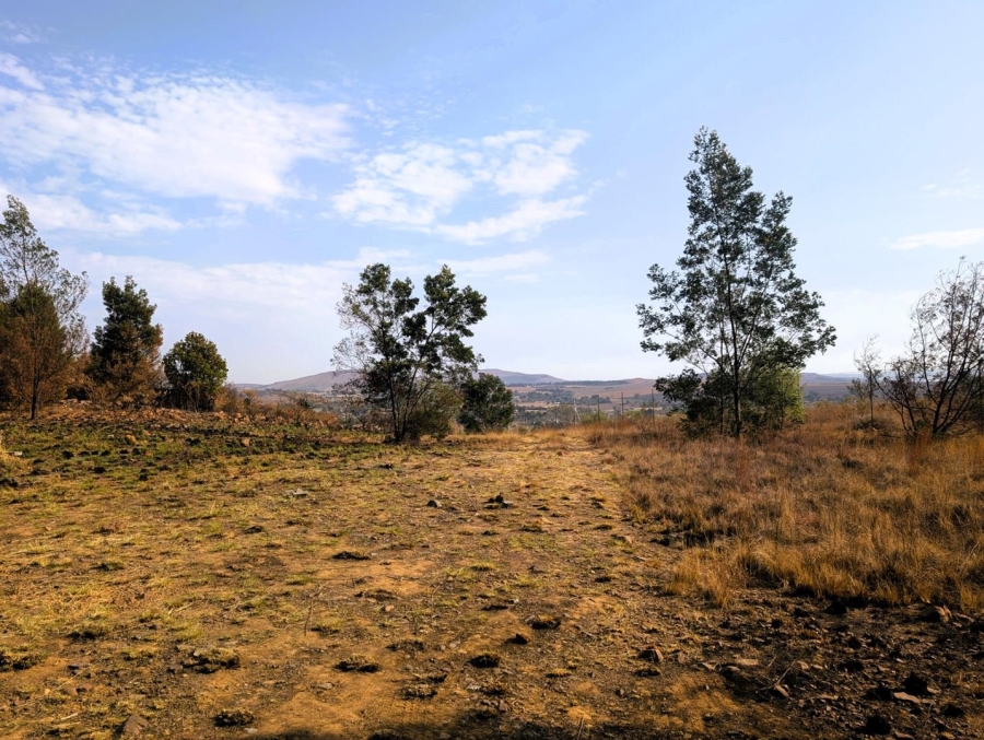 0 Bedroom Property for Sale in Blue Saddle Ranches Gauteng