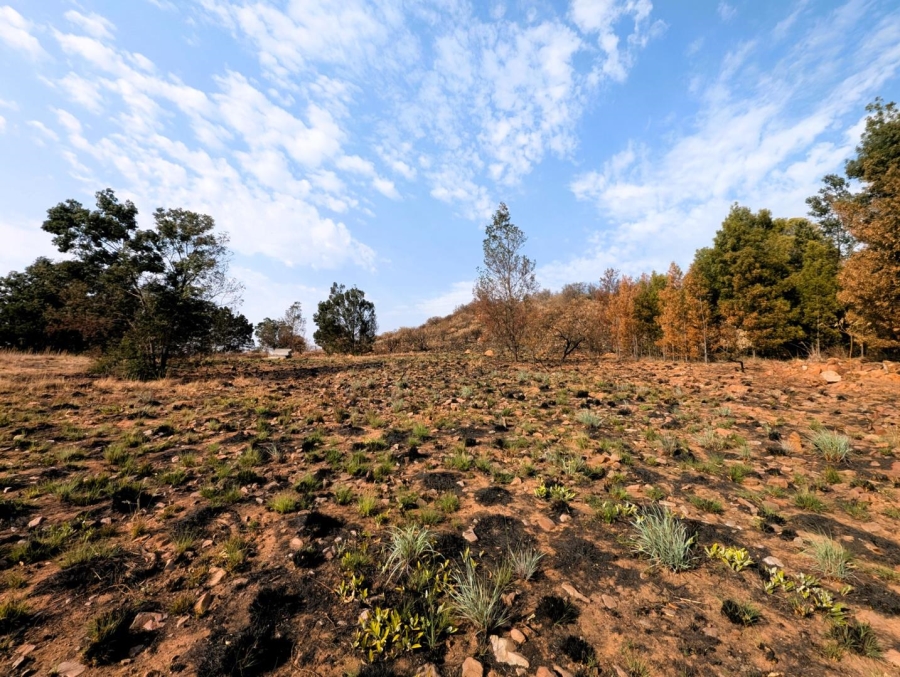 0 Bedroom Property for Sale in Blue Saddle Ranches Gauteng