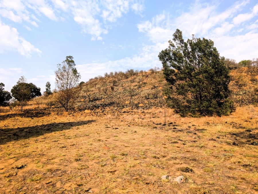 0 Bedroom Property for Sale in Blue Saddle Ranches Gauteng