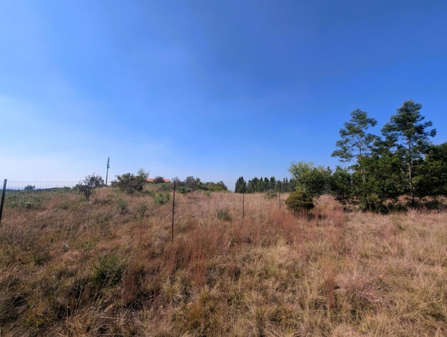 0 Bedroom Property for Sale in Blue Saddle Ranches Gauteng