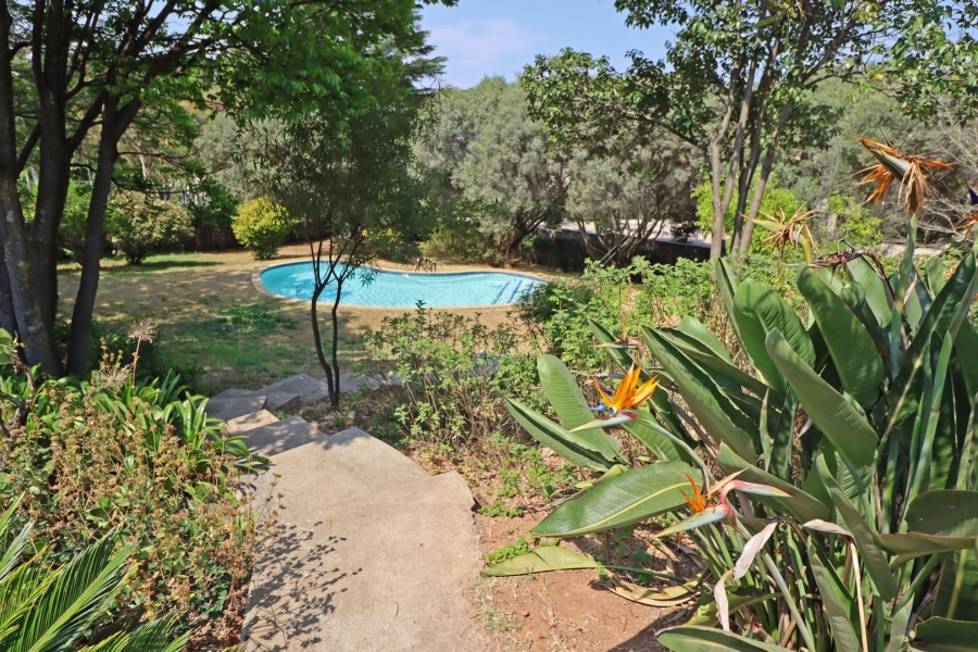 To Let 4 Bedroom Property for Rent in Bryanston Gauteng