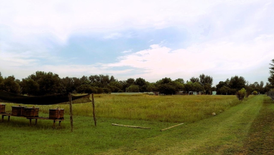 To Let 3 Bedroom Property for Rent in Blue Saddle Ranches Gauteng