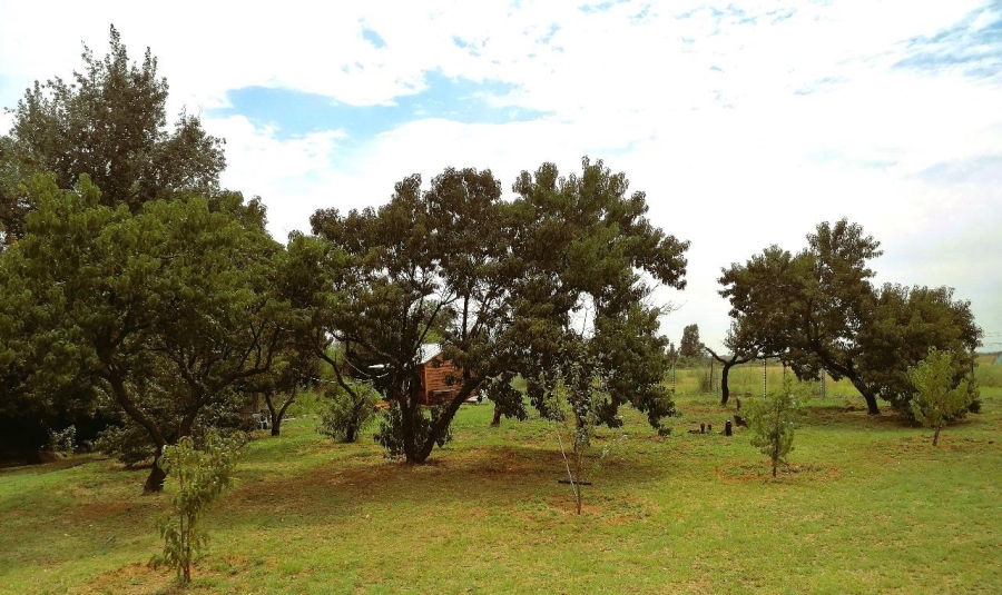 To Let 3 Bedroom Property for Rent in Blue Saddle Ranches Gauteng