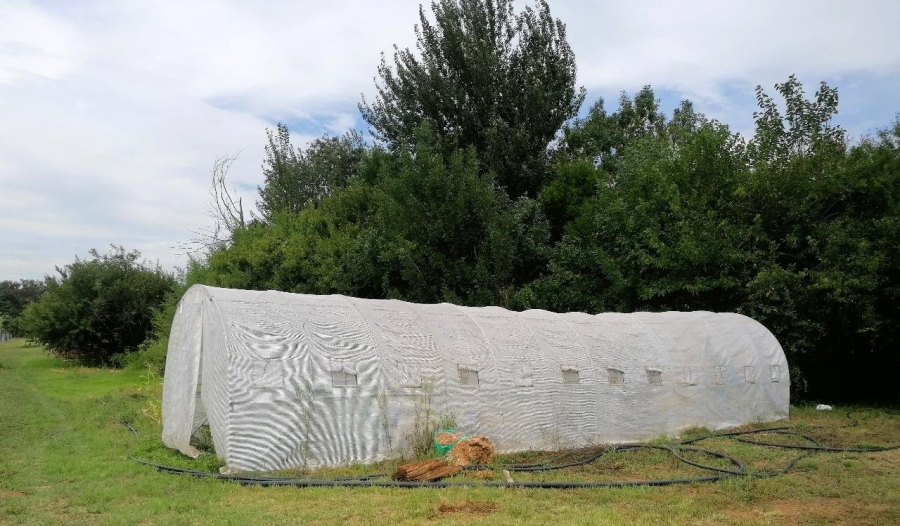 To Let 3 Bedroom Property for Rent in Blue Saddle Ranches Gauteng