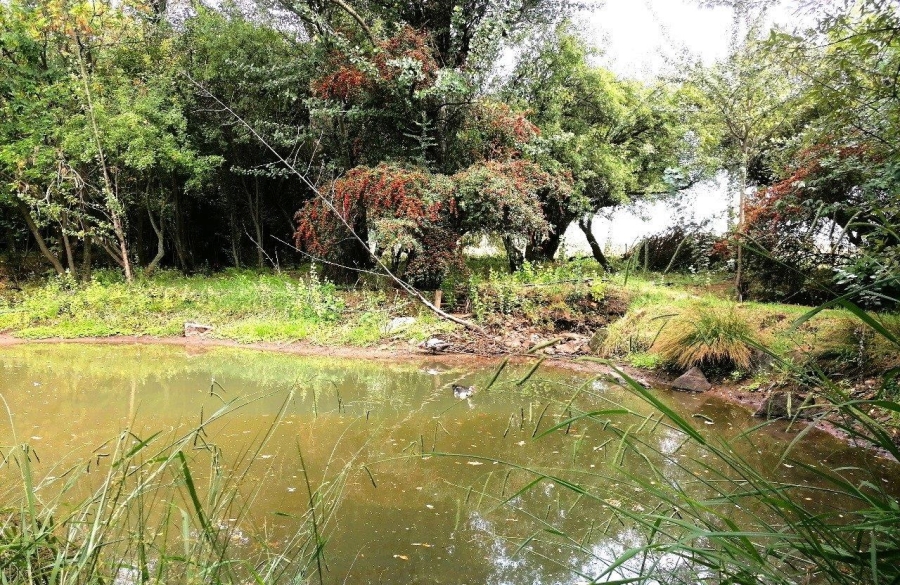 To Let 3 Bedroom Property for Rent in Blue Saddle Ranches Gauteng