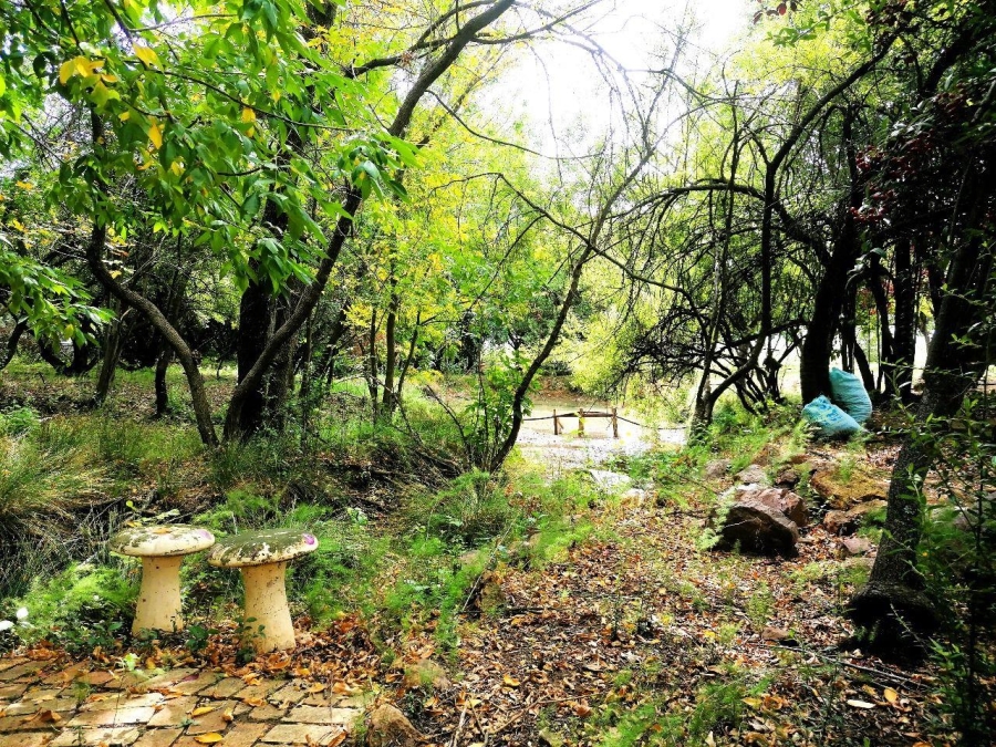 To Let 3 Bedroom Property for Rent in Blue Saddle Ranches Gauteng
