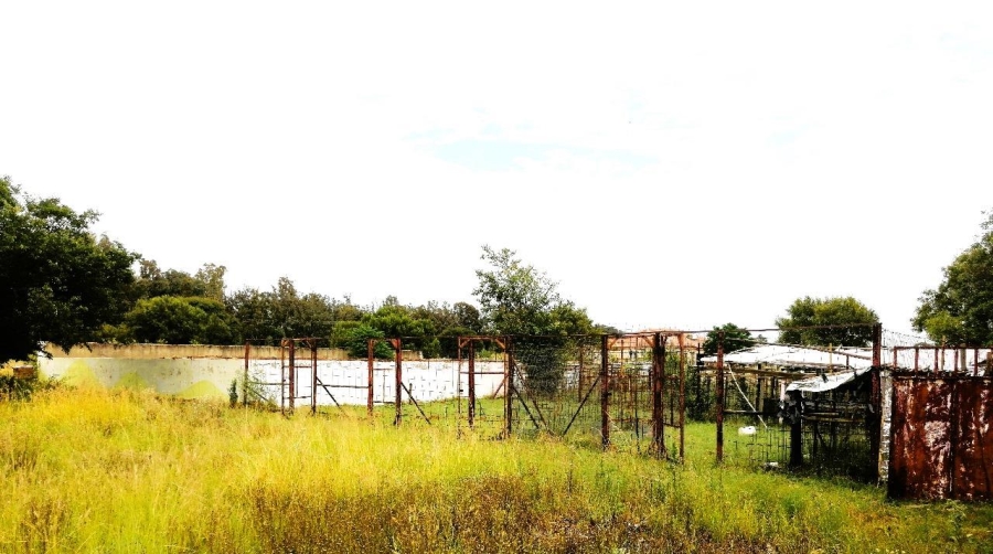 To Let 3 Bedroom Property for Rent in Blue Saddle Ranches Gauteng